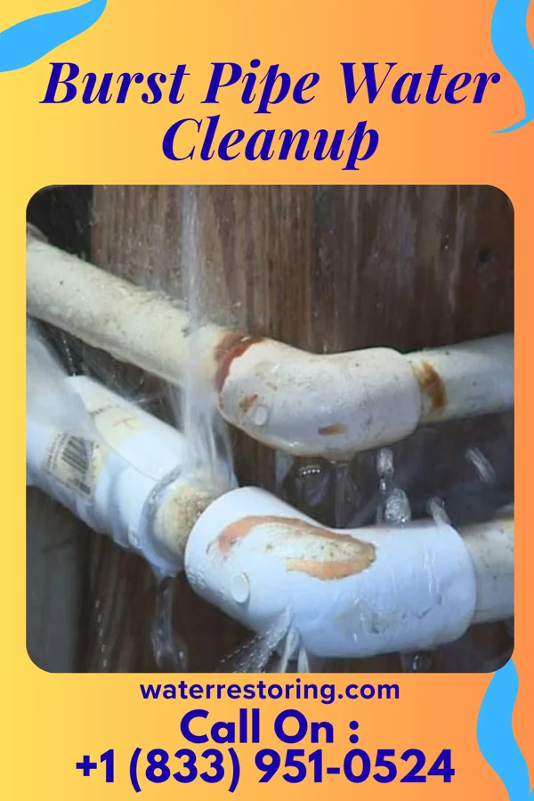 Burst Pipe Water Cleanup in Lakeview, MT