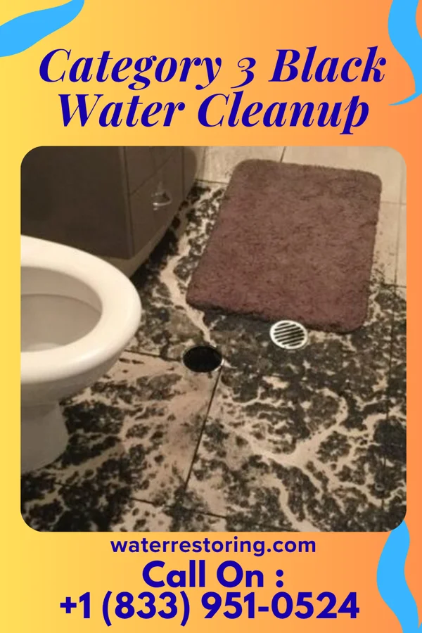 Category 3 Black Water Cleanup in Lakeview, MT