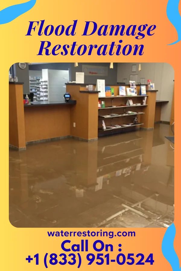 Flood Damage Restoration in Lakeview, MT