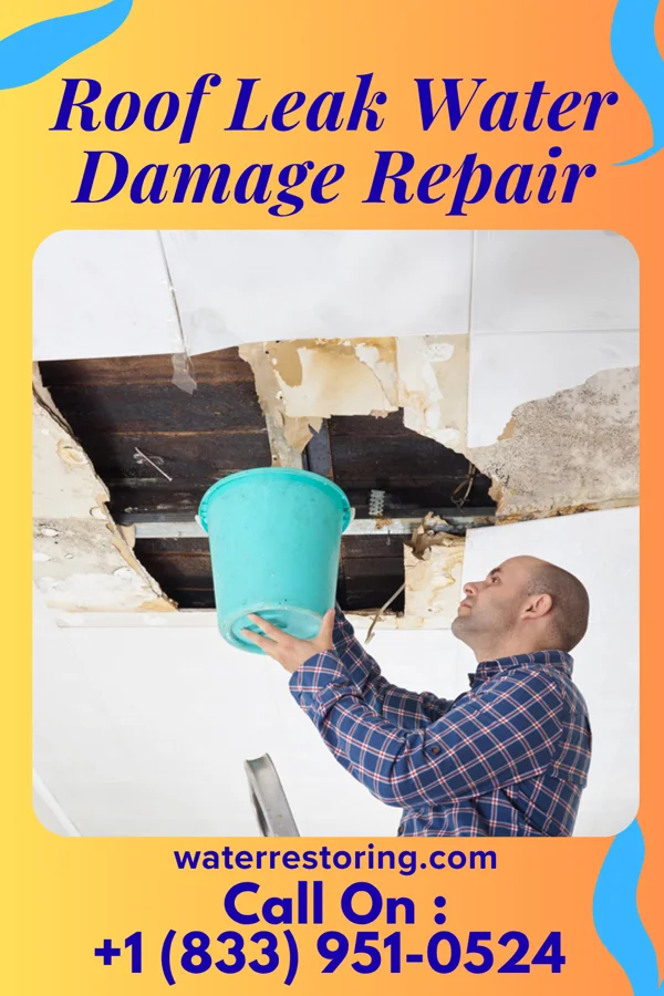 Roof Leak Water Damage Repair in Lakeview, MT